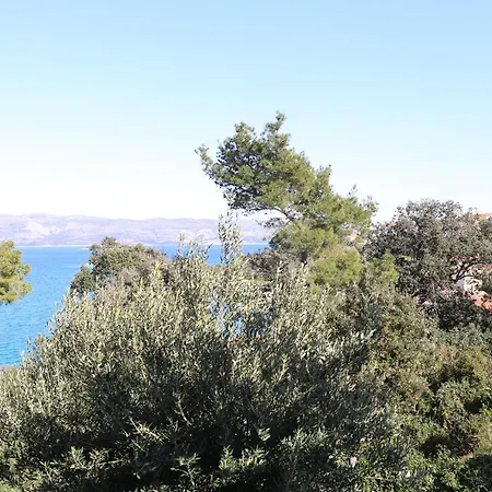 Appartement Sunny Blue