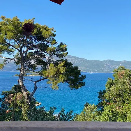 Sunny Blue *