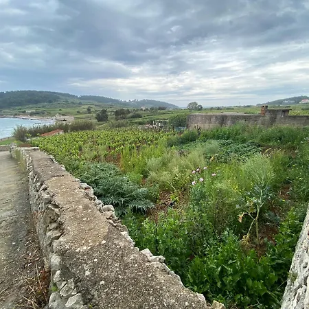 Sunny Blue * Lumbarda