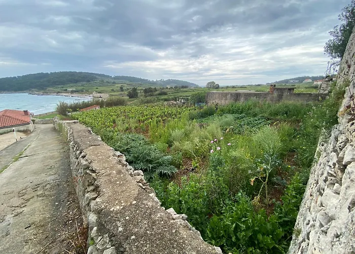 Sunny Blue * 룸바르다