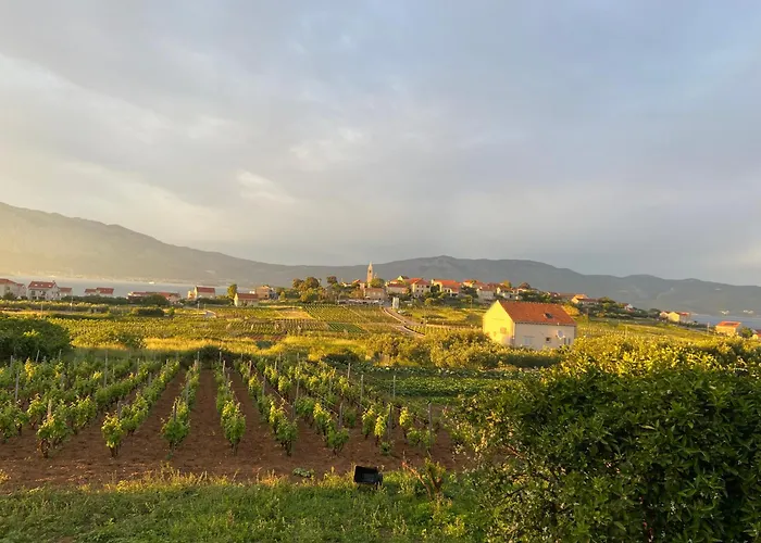 Sunny Blue 룸바르다